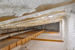 green home build DFW